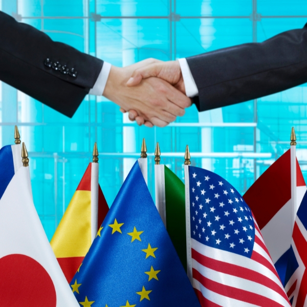 cursos catalogo de cursos (12)