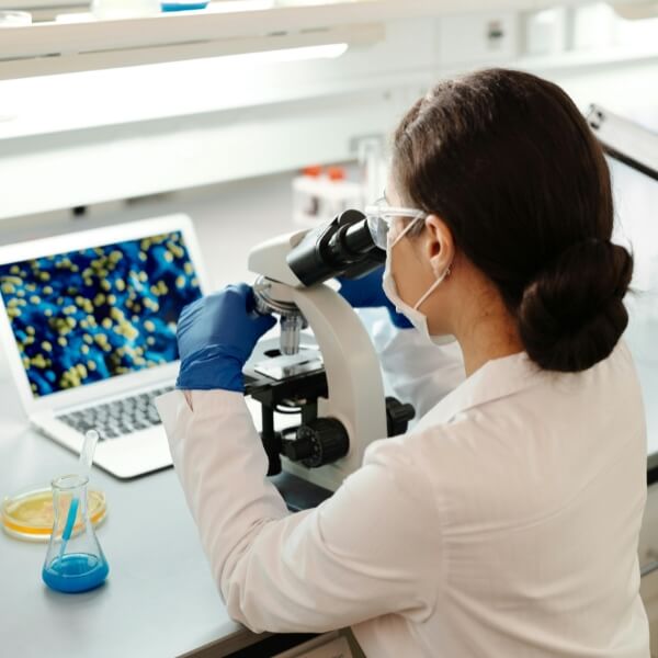 cursos catalogo de cursos (3) (1)