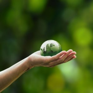 Licenciatura em Ambiente e Sustentabilidade